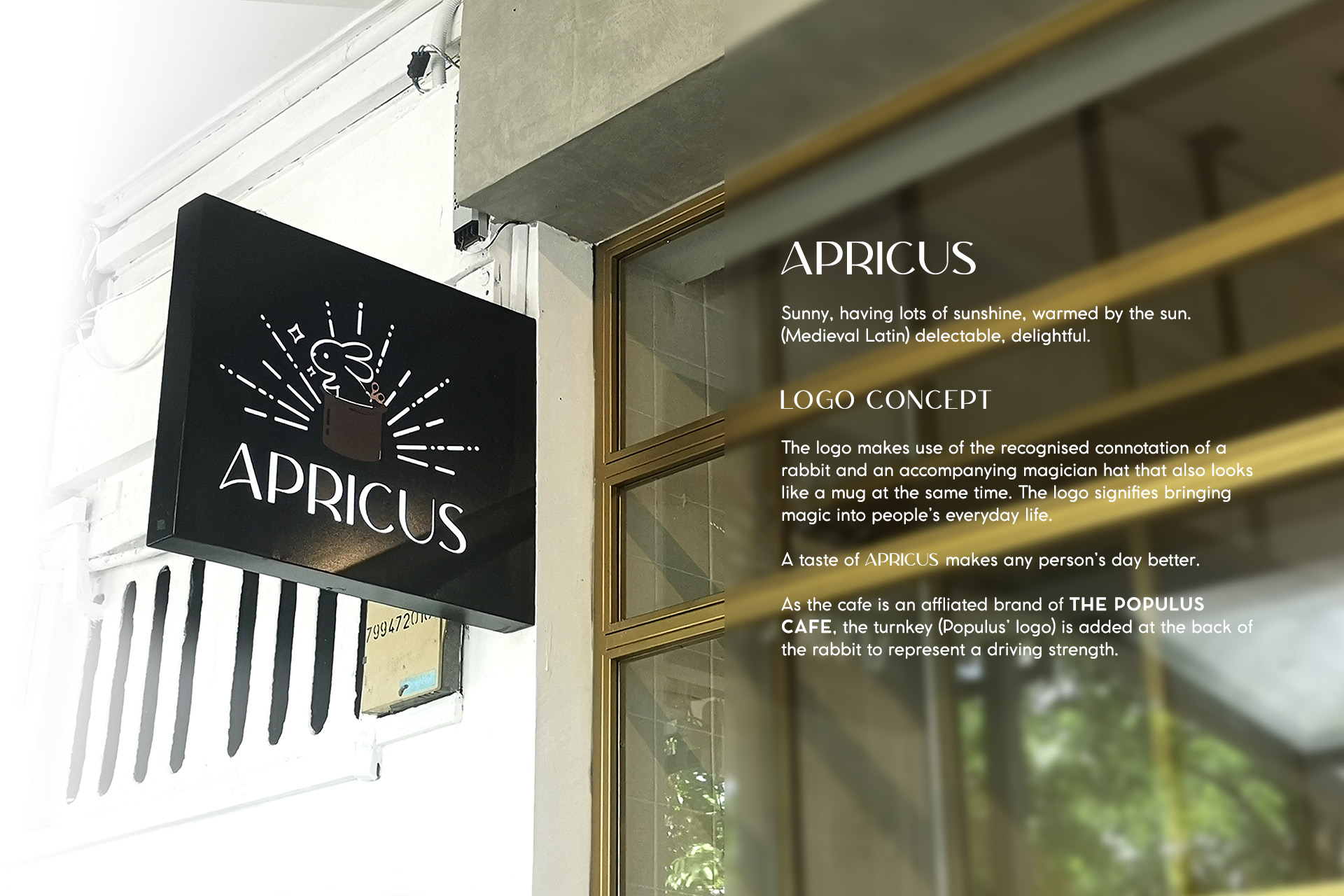 The Apricus Cafe Logo Concept